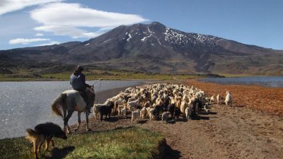 El Parque Provincial Tromen, un tesoro del norte neuquino