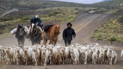 Aconsejan no compartir el mate a los crianceros que vuelven de la veranada