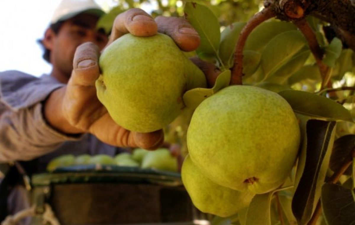 Productores del Alto Valle no adhieren al paro del campo y criticaron a dirigentes de ese sector