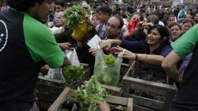 Verdurazo del campo que no para
