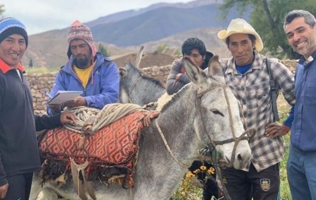 Campo Quijano: Habas, papas, choclos y más se venden por WhatsApp