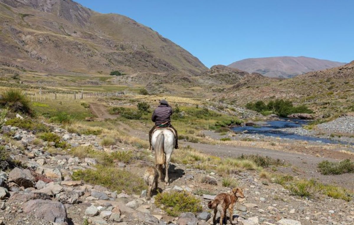 Norte neuquino: el secreto de los ojos del arriero del río Buraleo