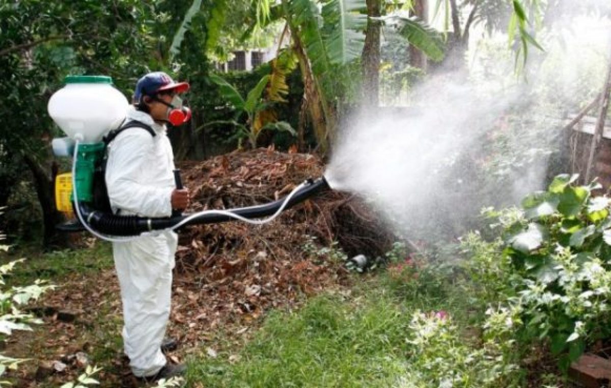 Es preocupante la situación del dengue en la región de Reconquista