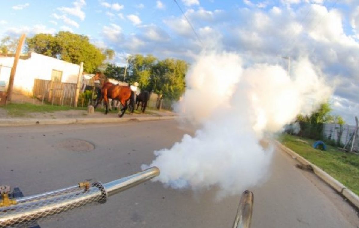 El dengue sigue en aumento en Córdoba pero aseguran que los contagios comenzarán a descender