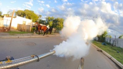El dengue sigue en aumento en Córdoba pero aseguran que los contagios comenzarán a descender