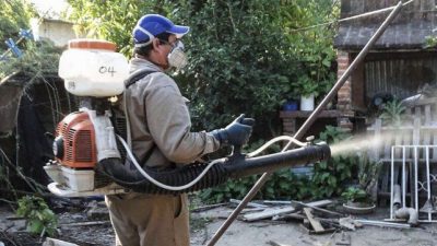 Tucumán enfrenta el brote de dengue más severo de su historia