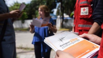 El dengue no se detiene en Santa Fe, a diferencia del coronavirus