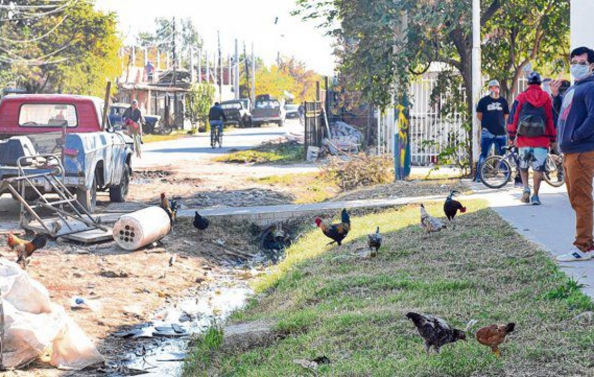 Rosario: Una enfermedad que preocupa tanto como la falta de servicios