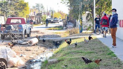 Rosario: Una enfermedad que preocupa tanto como la falta de servicios