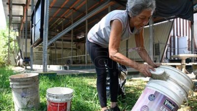 El brote de dengue de las últimas semanas podría ser 10 veces superior a años anteriores