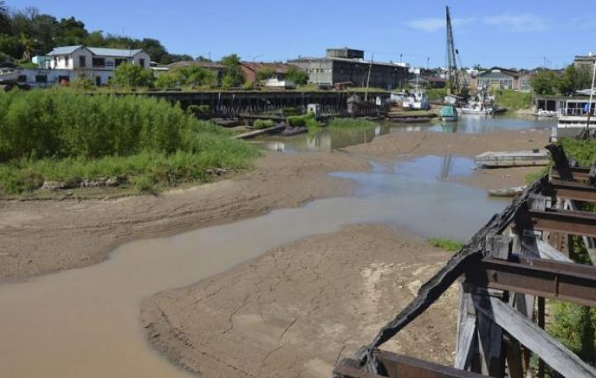 La bajante extraordinaria del río Paraná deja una estela de destrucción, alerta un experto