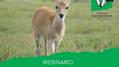 Vida Silvestre lanzó el portal #NosQuedamosEnCasa con contenidos para todas las edades