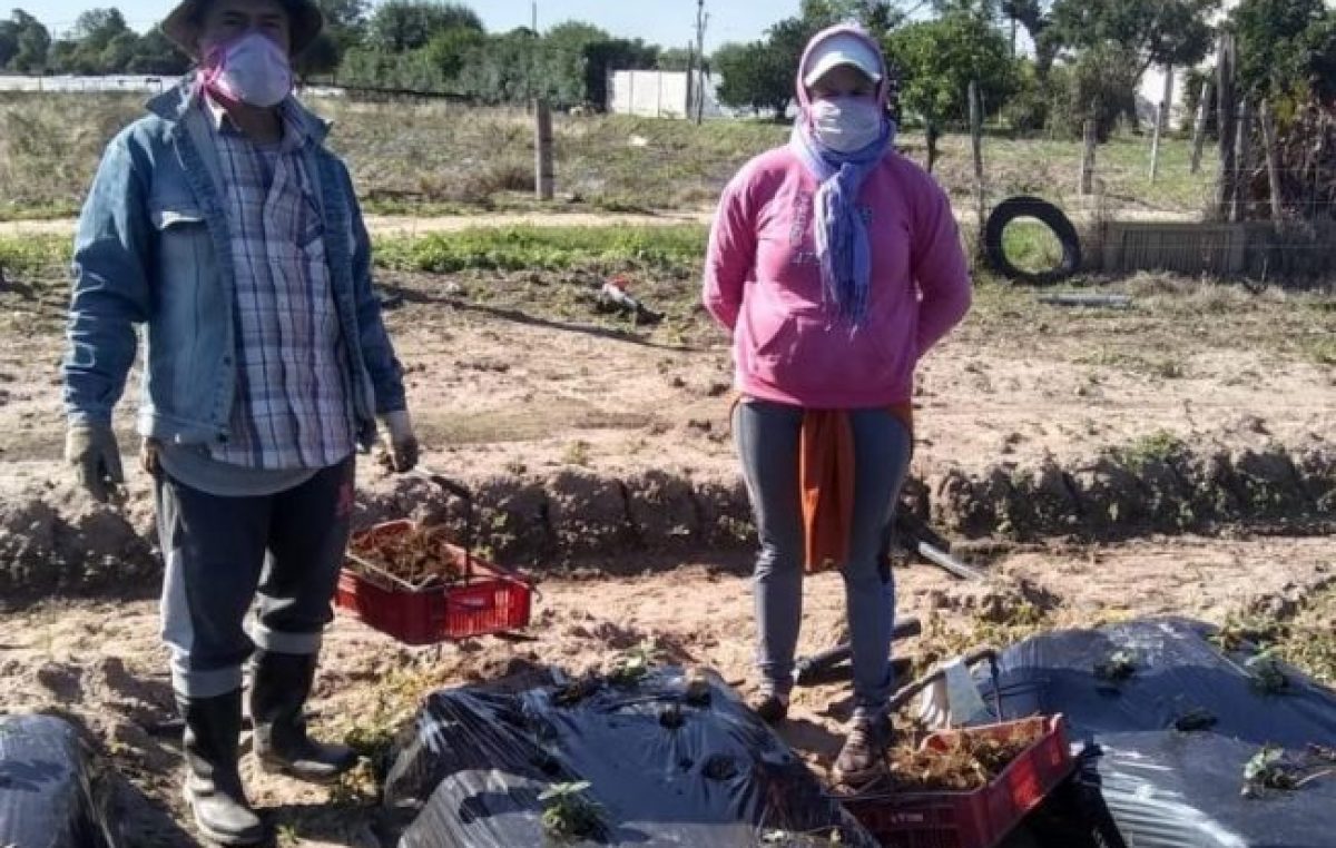 Trabajadores rurales: campaña para concientizar en Coronda