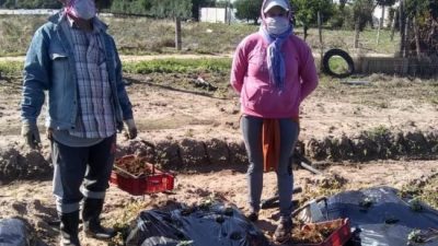 Trabajadores rurales: campaña para concientizar en Coronda