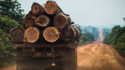 El coronavirus no detiene la deforestación: la tala en el Amazonas se disparó un 50% y advierten sobre el grave impacto en el clima argentino