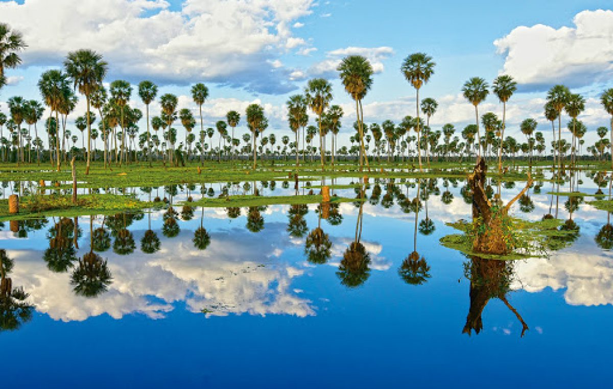 Vivir en una Maravilla Natural
