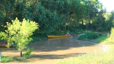 El gobierno nacional quiere que el delta se transforme en «área protegida»
