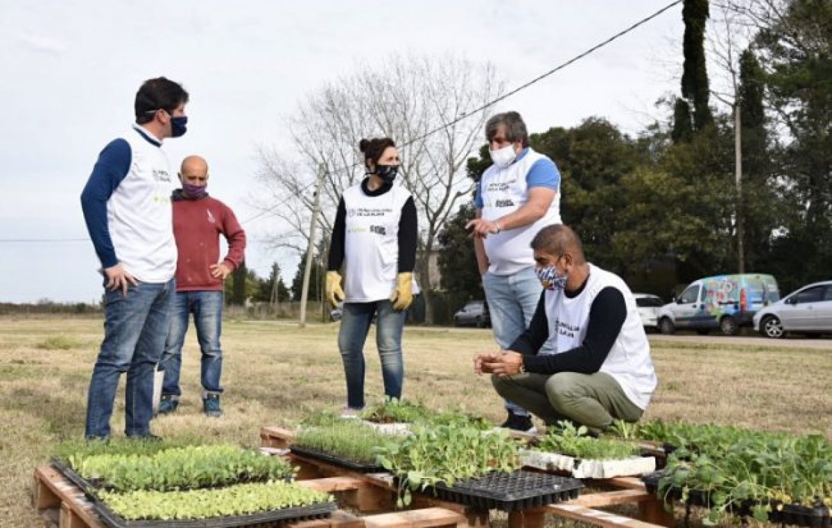 La Plata: Impulsan la creación de huertas comunitarias en espacios públicos y frentes de casas