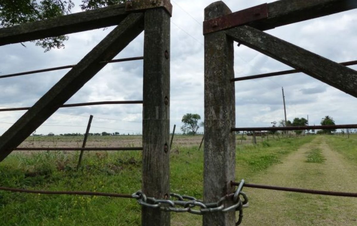 Santa Fe: fuerte caída de las explotaciones más pequeñas