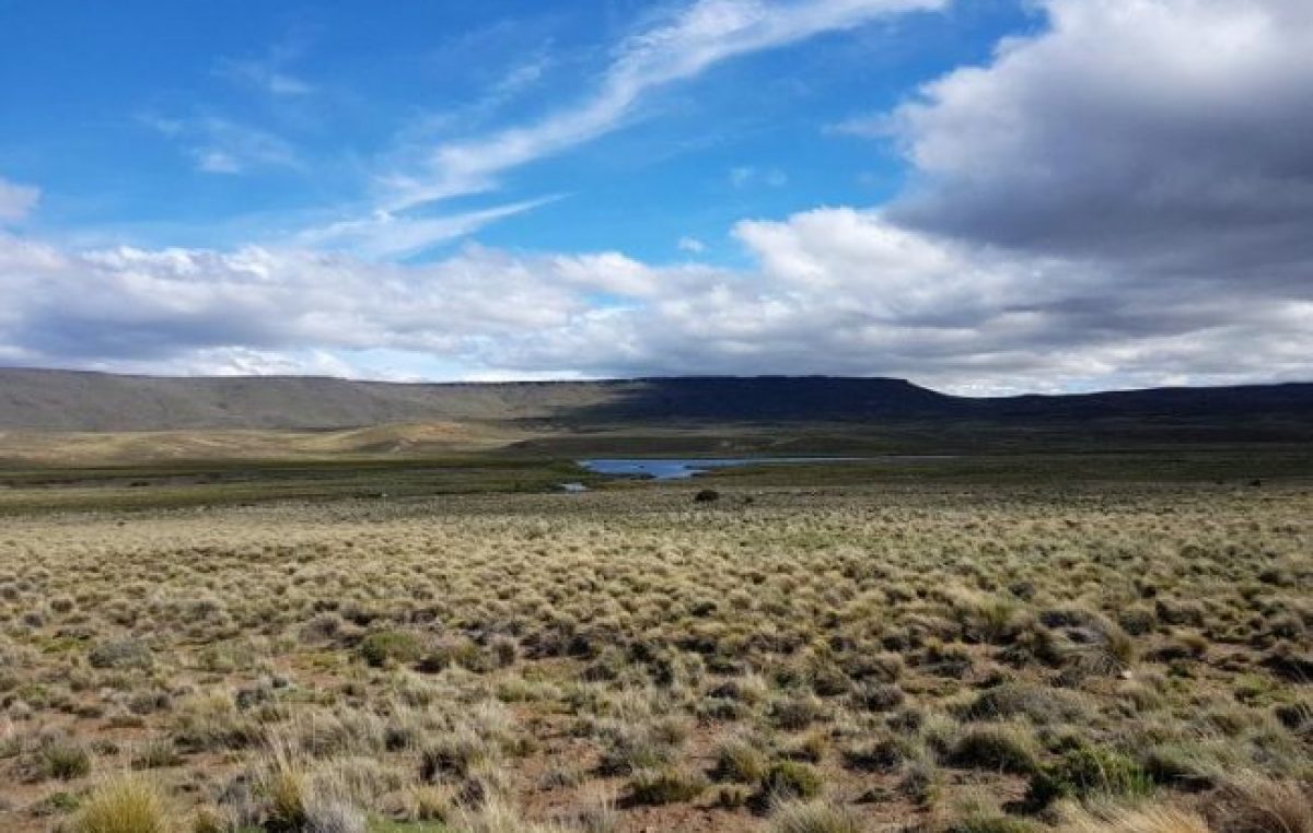 Desertificación: “la pobreza rural origina zonas muy vulnerables”
