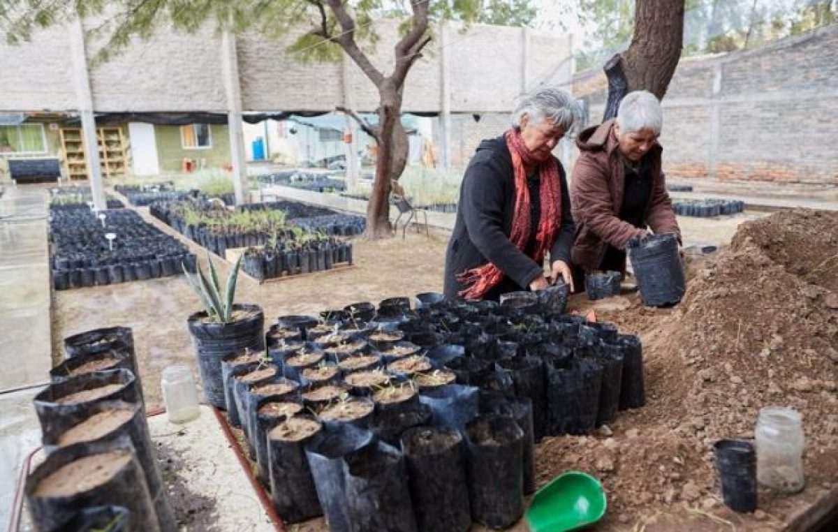 Mujeres recuperan y salvan bosques autóctonos en Mendoza