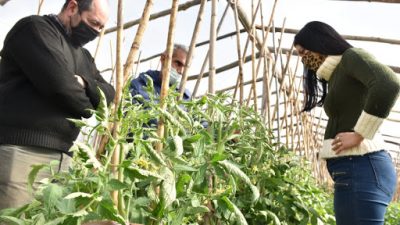 Buscan diversificar la producción en Santa Rosa y crearon 6 invernaderos