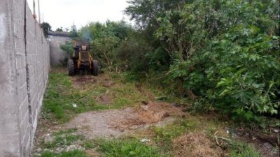 Quieren transformar 300 baldíos de Metán en huertas