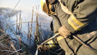 El Ministerio de Ambiente de la Nación es querellante en la causa por incendios en las islas del Paraná