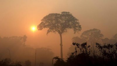 Amazonas en llamas: Brasil registró en junio el mayor número de incendios en 13 años