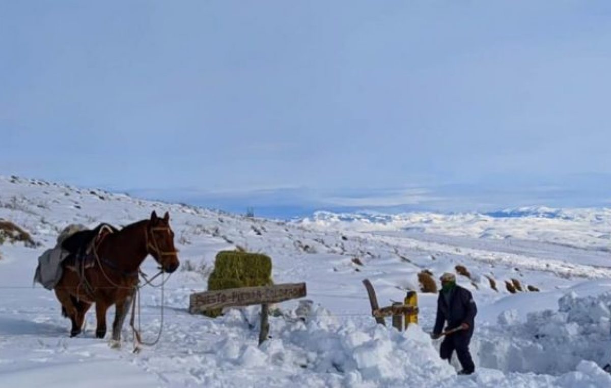 Declaran la emergencia agropecuaria en Río Negro, Neuquén y Chubut
