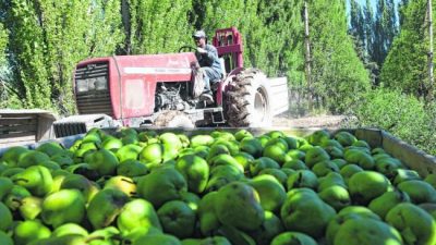 Río Negro: La Emergencia Frutícola vuelve a estar en la agenda del Gobierno Nacional
