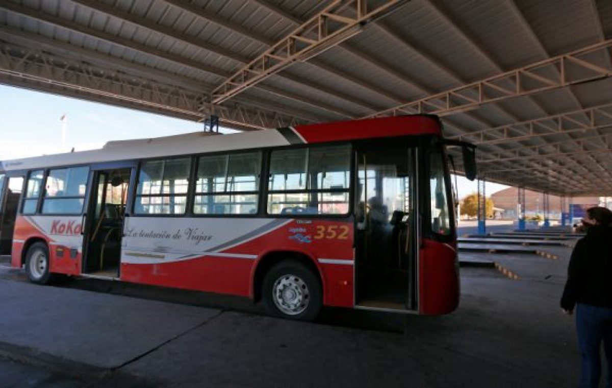 Roca lanza el transporte municipal la semana próxima, con colectivos de Ko:Ko