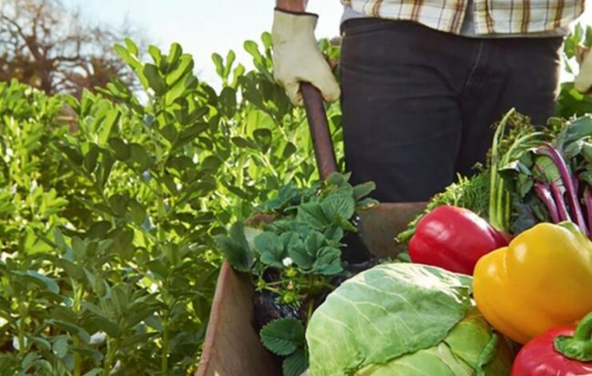 Santa Fe invertirá 20 millones de pesos en líneas para el desarrollo de la agricultura familiar