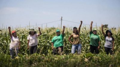 El coronavirus y la búsqueda de una nueva ruralidad: las familias que se mudarán a Tapalqué