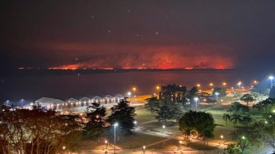 El gobernador de Santa Fe anunció el arribo de refuerzos nacionales para combatir los incendios en las islas