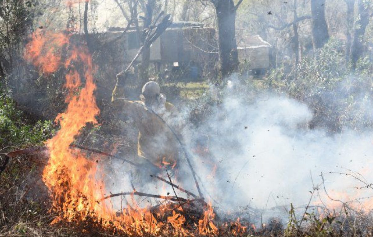 El delta arde: estiman que hay unas 200 mil hectáreas bajo cenizas