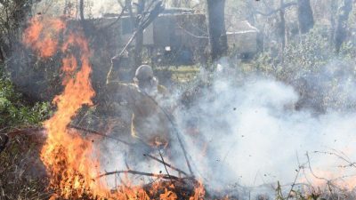 El delta arde: estiman que hay unas 200 mil hectáreas bajo cenizas