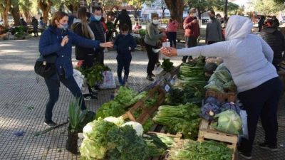 Futuro promisorio para la producción agroecológica de la ciudad de Santa Fe