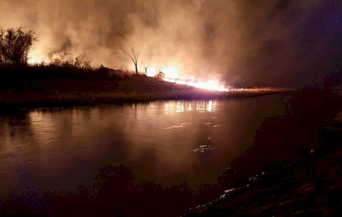 ¿Qué arde con los humedales? 