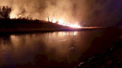 ¿Qué arde con los humedales? 