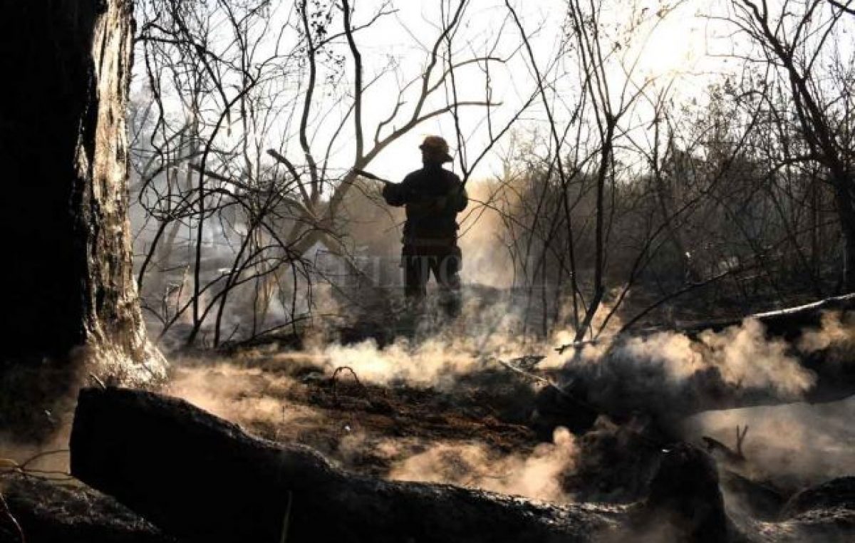 «Nuestros ecosistemas no soportan más destrucción», advierte una experta