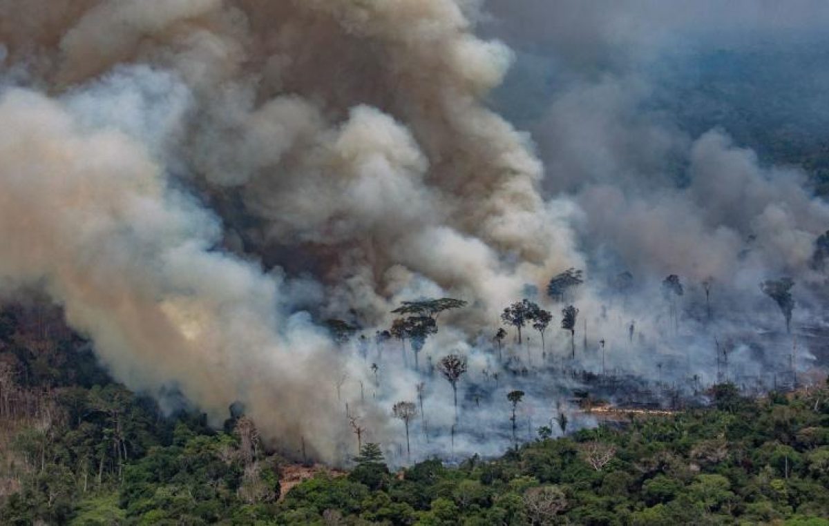 Bolsonaro dice que no crecieron los incendios en la Amazonía