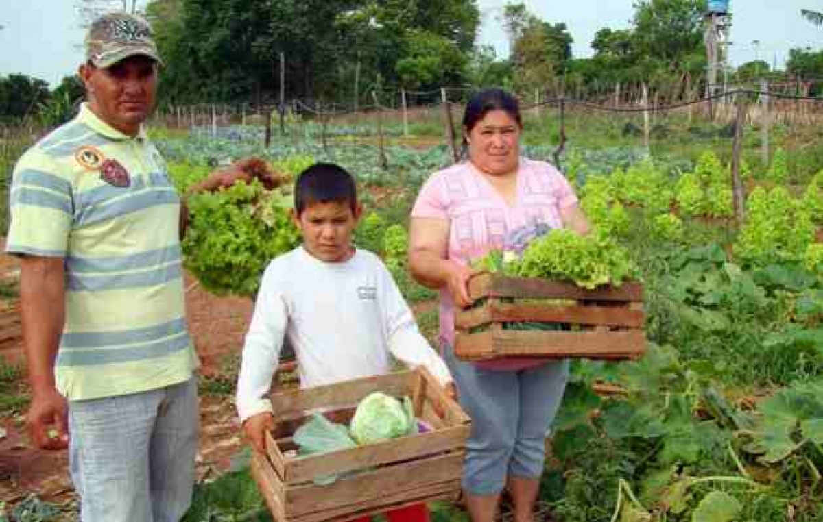 Destinan 1.000 millones para la producción de alimentos en la agricultura familiar