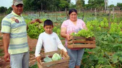 Destinan 1.000 millones para la producción de alimentos en la agricultura familiar
