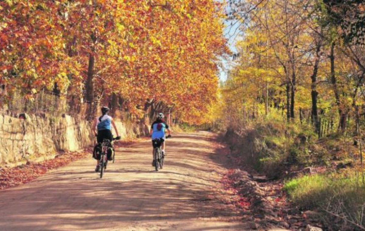 El turismo rural como alternativa para la pospandemia