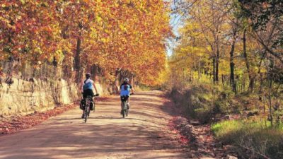 El turismo rural como alternativa para la pospandemia