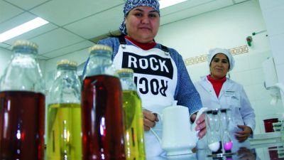 Construyen en el oeste neuquino una sala para elaborar alimentos
