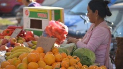 Quiénes son y qué hacen las 500 mil personas que ya se anotaron como trabajadores de la Economía Popular