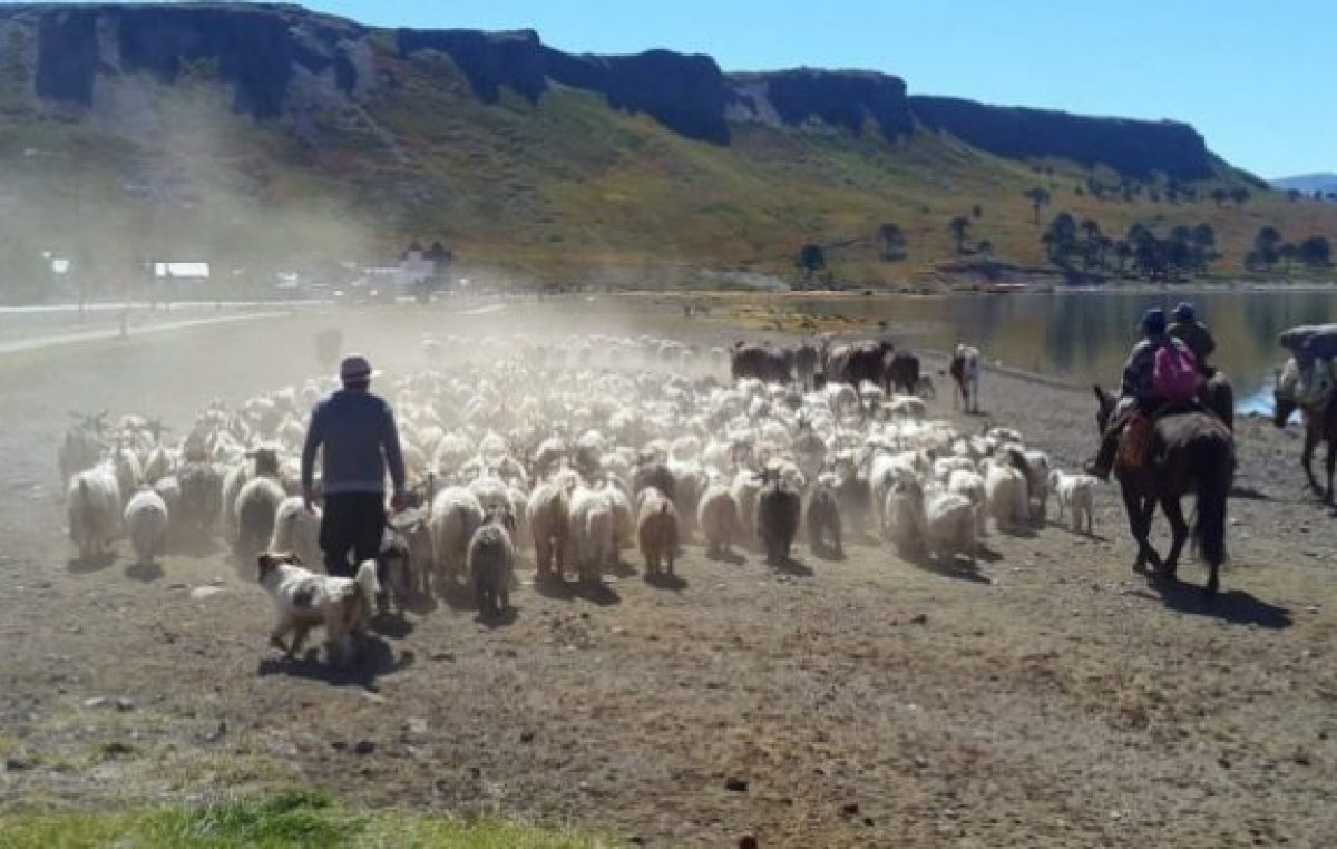 Neuquén adhirió a la ley nacional de Agricultura Familiar