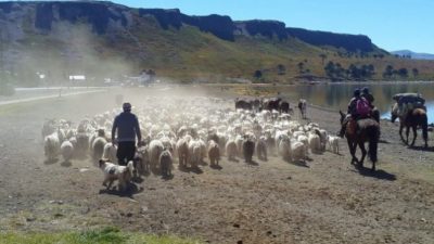 Neuquén adhirió a la ley nacional de Agricultura Familiar
